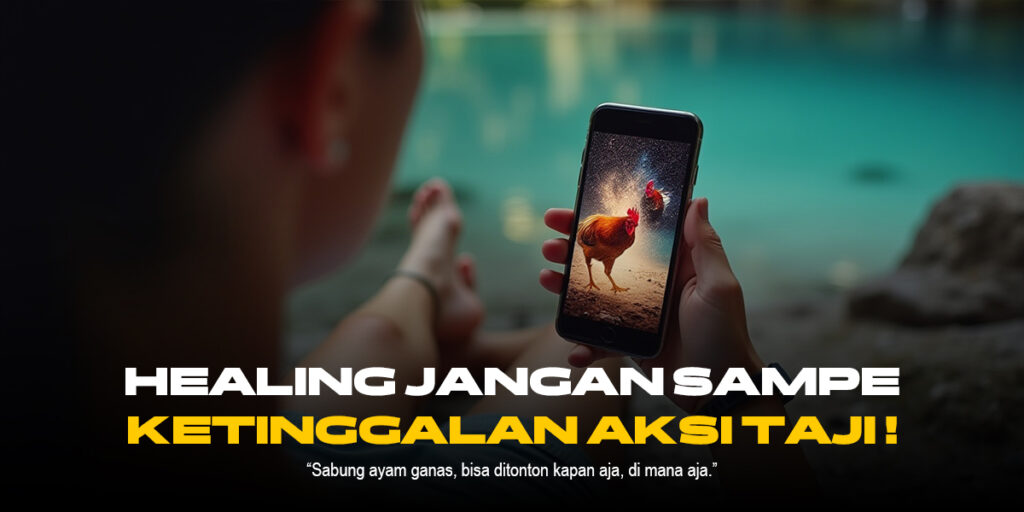 Keunikan Ayam Bangkok dalam Sabung Ayam SV388
