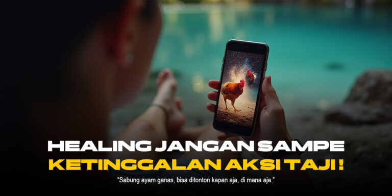 Keunikan Ayam Bangkok dalam Sabung Ayam SV388
