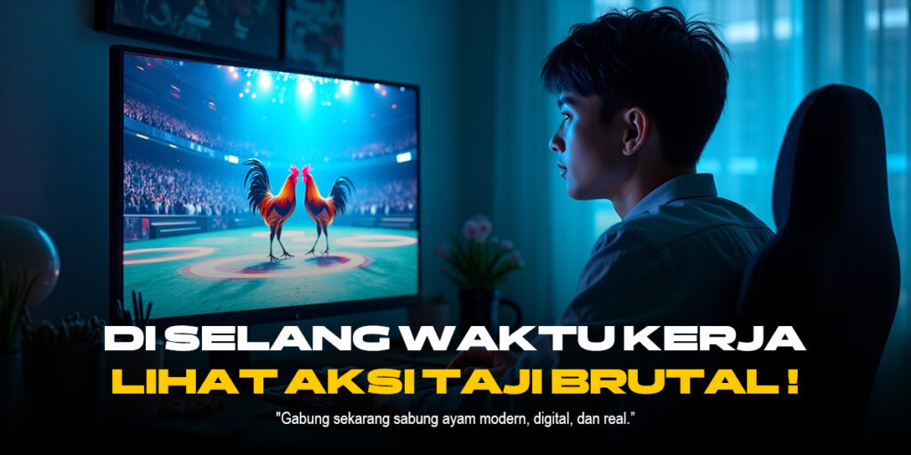 Membedah Sabung Ayam SV388: Jenis Ayam, Odds, dan Keunggulan Provider