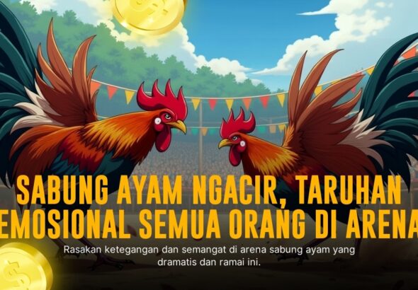 S128 Sabung Ayam: Mengenal Jenis Ayam Aduan dan Peluang Taruhan