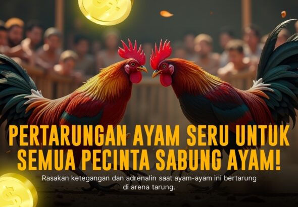 Mengenal Jenis Ayam Aduan Paling Populer di SV388
