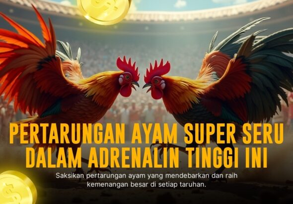 Kenali Jenis-Jenis Ayam Sabung Dalam SV388 dengan Odds Terbaik