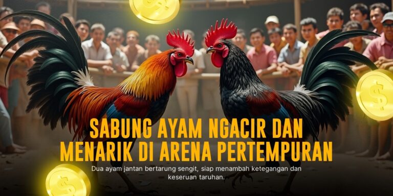 Mengenal Dunia Sabung Ayam SV388: Jenis Ayam, Odds, dan Keunggulannya