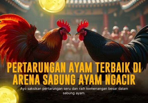 Mengenal Jenis Ayam Aduan dan Odds Sabung Ayam SV388