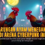 Mengenal Ayam Bangkok, Raja Dalam Sabung Ayam Online SV388