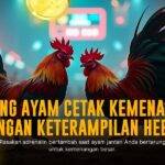 Mengenal Jenis Ayam Aduan SV388 dan Strategi Odds Terbaik