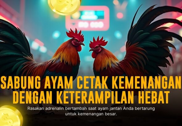 Mengenal Jenis Ayam Aduan SV388 dan Strategi Odds Terbaik