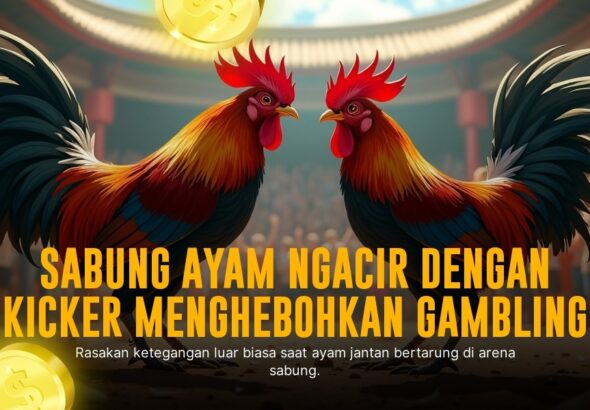 Mengenal Ayam Bangkok, Raja Sabung Ayam Terpopuler