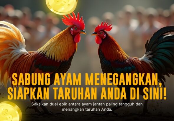 Mengenal Jenis Ayam Aduan SV388 yang Populer Saat Ini