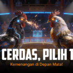 Rahasia Sabung Ayam SV388: Jenis Ayam dan Peluang Menang