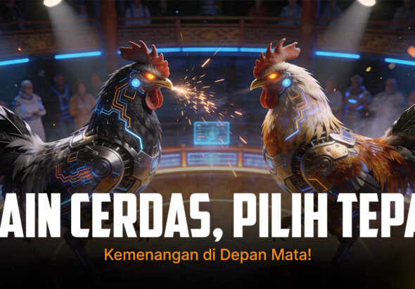 Rahasia Sabung Ayam SV388: Jenis Ayam dan Peluang Menang